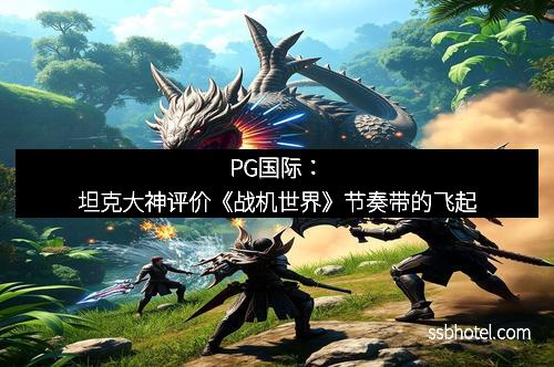 PG国际：坦克大神评价《战机世界》节奏带的飞起